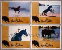 5g033 BLACK STALLION 4 LCs '79 Carroll Ballard directed equine drama, horse & boy on beach!