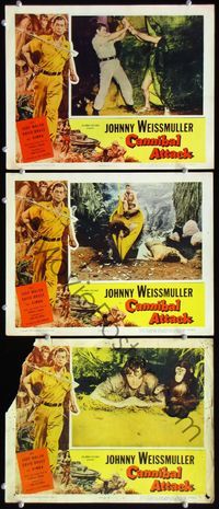 5g423 CANNIBAL ATTACK 3 LCs '54 border art of Johnny Weissmuller w/knife, fighting alligator man!