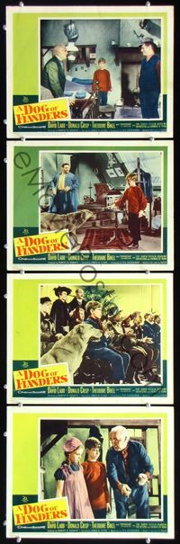 5g077 DOG OF FLANDERS 4 LCs '59 David Ladd with huge dog, Donald Crisp!
