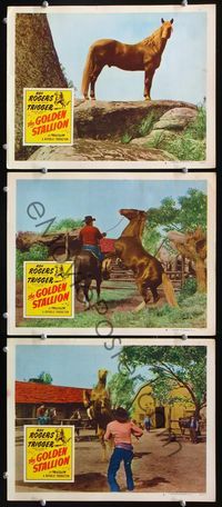 5g561 GOLDEN STALLION 3 LCs '49 Roy Rogers tries to tame golden horse!