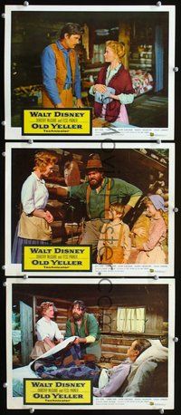 5g763 OLD YELLER 3 LCs '57 Dorothy McGuire, Fess Parker, Disney's most classic canine!