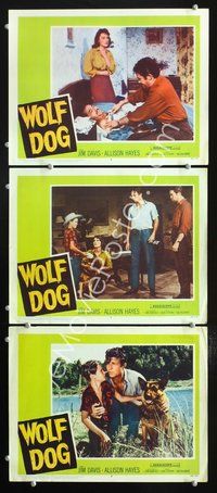 5g984 WOLF DOG 3 LCs '58 Allison Hayes, Jim Davis, Prince the German Shepherd!