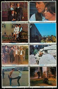 5h078 BUTCH CASSIDY & THE SUNDANCE KID 8 LCs '69 Paul Newman, Robert Redford, Katharine Ross