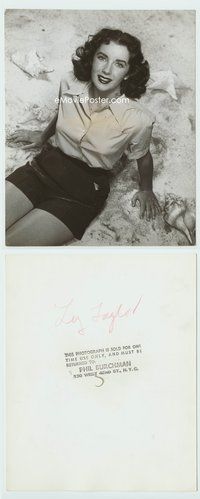5j156 ELIZABETH TAYLOR deluxe 7.25x9.25 still '50s close up sitting on beach with starfish & shells!