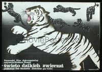 5k651 LA FETE SAUVAGE Polish 23x32 '76 Frederic Rossif, cool Anna Mikke art of white tiger!