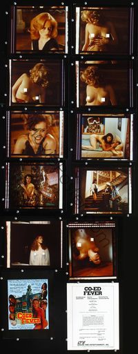 5o356 COED FEVER 17 color 8x10s '80 sexy Annette Haven, Serena, Samantha Fox & Vanessa Del Rio!