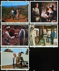 5o469 COMEDIANS 5 Eng/US color 8x10s '67 Richard Burton, Elizabeth Taylor, Alec Guinness, Ustinov