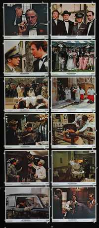 5o361 GODFATHER 12 color 8x10s '72 Marlon Brando, Al Pacino, Francis Ford Coppola crime classic!