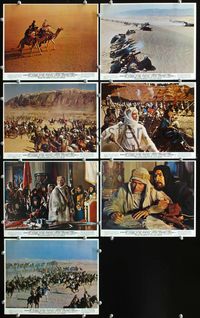 5o448 LAWRENCE OF ARABIA 7 color 8x10s R71 David Lean classic starring Peter O'Toole, cool images!