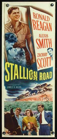 5r562 STALLION ROAD insert '47 great images of Ronald Reagan & pretty Alexis Smith!