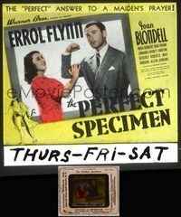 5v049 PERFECT SPECIMEN glass slide '37 sexy Joan Blondell checks out Errol Flynn's bulging biceps!