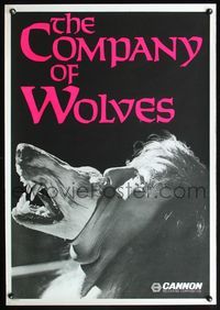 6b110 COMPANY OF WOLVES teaser Italy/US 1sh '85 wild man changing into werewolf image!