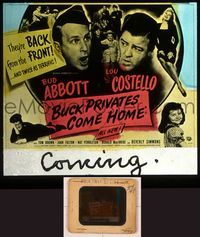 6e012 BUCK PRIVATES COME HOME glass slide '47 Bud Abbott & Lou Costello are back from the front!