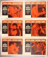 6g223 BLACK ORCHID 6 LCs '59 Anthony Quinn, pretty Sophia Loren, Martin Ritt!