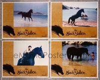 6g769 BLACK STALLION 4 LCs '79 Carroll Ballard, great images of horse on beach!