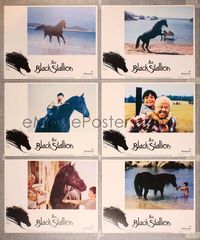 6g224 BLACK STALLION 6 white border LCs '79 Carroll Ballard, great images of horse on beach!