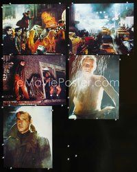 6g525 BLADE RUNNER 5 color 11x14 stills '82 Ridley Scott classic, Harrison Ford & Rutger Hauer!