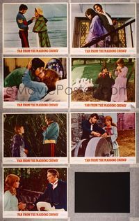 6g057 FAR FROM THE MADDING CROWD 7 LCs '68 Julie Christie, Terence Stamp, Peter Finch, Schlesinger!