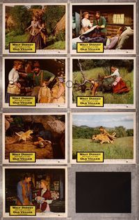 6g127 OLD YELLER 7 LCs '57 Dorothy McGuire, images of Disney's most classic canine!