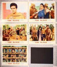 6g702 SLAVE 5 LCs '63 Il Figlio di Spartacus, Steve Reeves as the son of Spartacus!
