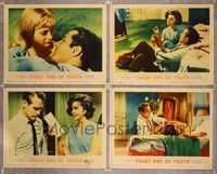 6g962 SWEET BIRD OF YOUTH 4 LCs '62 Paul Newman, Geraldine Page, Shirley Knight, Tennessee Williams!