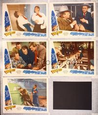 6g733 TRAPPED 5 LCs '49 Lloyd Bridges dreams of millions, cool crime images!