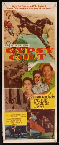 6v460 GYPSY COLT insert '54 Ward Bond, Frances Dee, young Donna Corcoran & wild stallion!