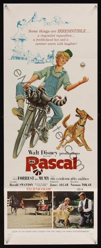 6v575 RASCAL insert '69 Walt Disney, great art of Bill Mumy on bike with raccoon & dog!