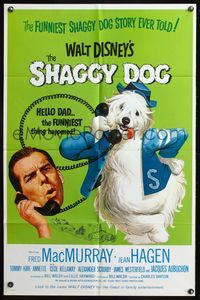 6x781 SHAGGY DOG 1sh R67 Walt Disney, Fred MacMurray, funniest sheep dog fantasy!