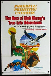 6y076 BEST OF WALT DISNEY'S TRUE-LIFE ADVENTURES 1sh '75 powerful, primitive, cool animal art!