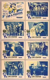 7a251 I AM A FUGITIVE FROM A CHAIN GANG 8 LCs R56 cool images of escaped convict Paul Muni!