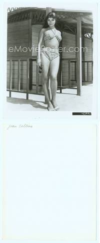 7b412 JOAN COLLINS 8x10 still '50s sexiest full-length portrait wearing bikini!