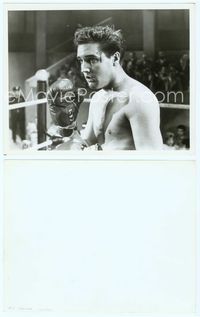 7b421 KID GALAHAD 8x10 still '62 best close up of bloodied boxer Elvis Presley in the ring!