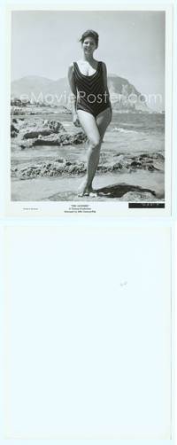 7b447 LEOPARD 8x10 still '63 portrait of sexy Claudia Cardinale in swimsuit on beach!
