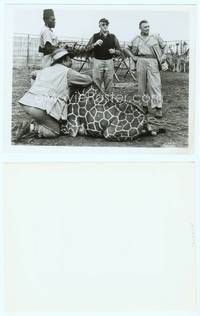 7b501 MOGAMBO candid 8x10 still '53 c/u of director John Ford & Clark Gable in giraffe compund!
