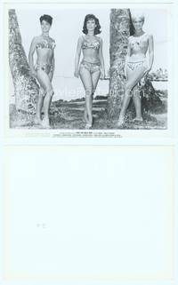 7b593 RIDE THE WILD SURF 8x10 still '64 Barbara Eden, Shelley Fabares & Susan hart pose in bikinis!
