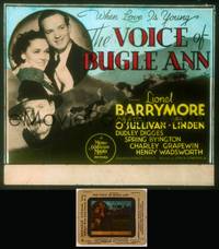 7c065 VOICE OF BUGLE ANN glass slide '36 Lionel Barrymore, Maureen O'Sullivan, hunting dog art!