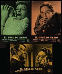 7g508 BAD SEED 3 Italian photobustas '56 Nancy Kelly, Henry Jones, the little girl is really bad!