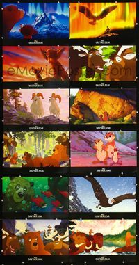 7m008 BROTHER BEAR 12 9.5x15 LCs '03 Disney Pacific Northwest animal cartoon!