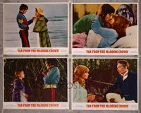 7m639 FAR FROM THE MADDING CROWD 4 LCs '68 Julie Christie, Terence Stamp, Peter Finch!