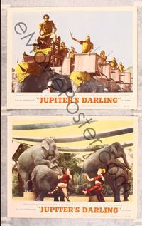 7m903 JUPITER'S DARLING 2 LCs '55 Howard Keel riding on back of elephant, Marge & Gower Champion!