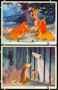 7m908 LADY & THE TRAMP 2 LCs '55 Walt Disney romantic canine classic cartoon!