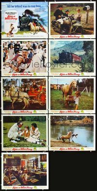 7m041 RIDE A WILD PONY 9 LCs '76 Disney, cool artwork of boy on white horse riding alongside train!