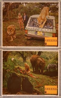 7m957 SHEENA 2 LCs '84 sexy Tanya Roberts in furs, lions destroying car!