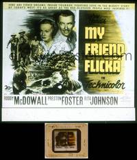 7t099 MY FRIEND FLICKA glass slide '43 Roddy McDowall, boy and his horse story, Preston Foster