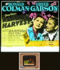8a110 RANDOM HARVEST glass slide '42 wonderful close up of Ronald Colman & Greer Garson!