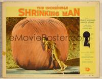 8b098 INCREDIBLE SHRINKING MAN LC #7 '57 great fx close up of tiny man with nail by yarn ball!