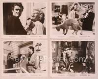8d278 BUCKET OF BLOOD 15 8x10 stills '59 Roger Corman, AIP, Dick Miller, Barboura Morris