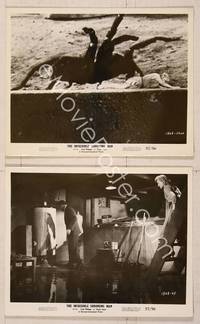 8d341 INCREDIBLE SHRINKING MAN 2 8x10 stills '57 running from giant spider & lost in the basement!