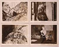 8d299 KILLER SHREWS 11 8x10 stills '59 many great horror images of monsters & terrified people!
